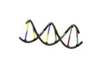 Genetics & DNA - Image 2