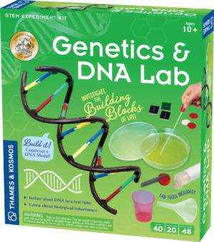 genetics dna