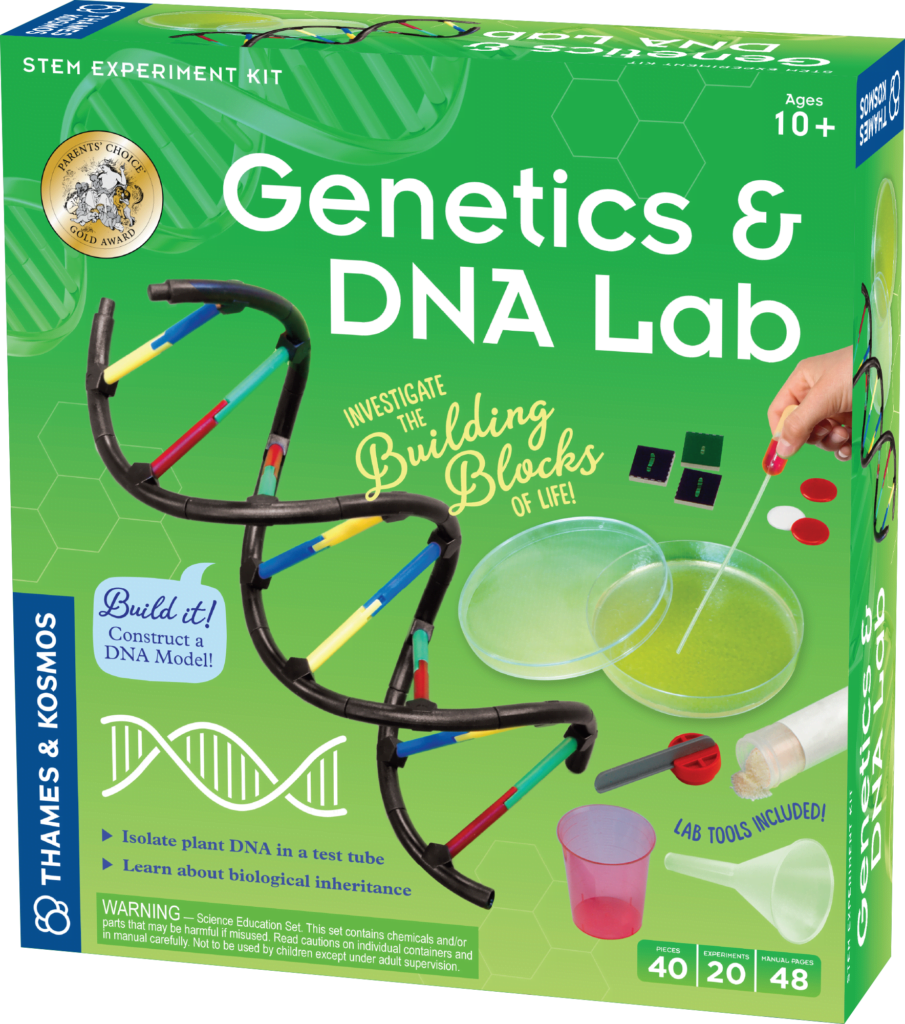 genetics dna