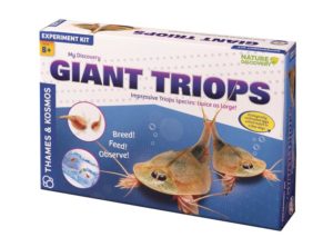 giant triops
