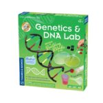 Genetics & DNA