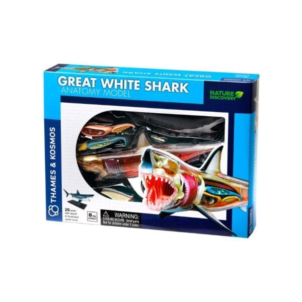 great white shark