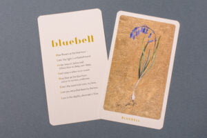 The Lost Words - Image 3