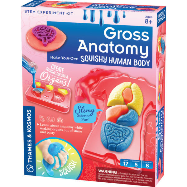 Gross Anatomy 3d box front