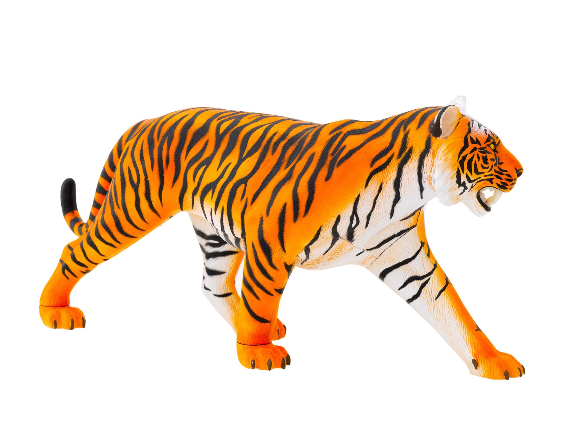 Tiger Anatomy Model THAMES & KOSMOS
