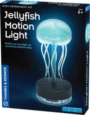 Jellyfish lamp