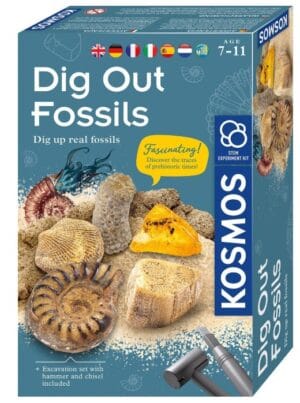 Dig out fossils