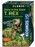 Glow in the dark trex