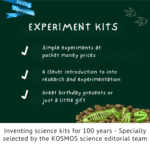 Glow in the Dark T.REX - Image 3