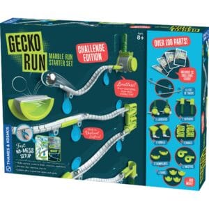 Gecko Run 3D Box Front